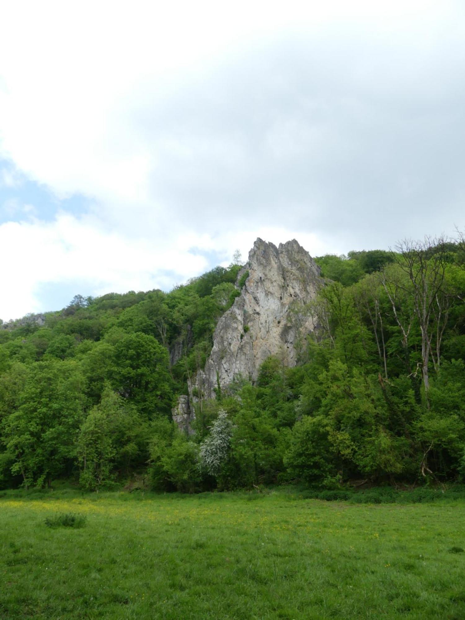Au Bois Charmant Waulsort Exteriör bild